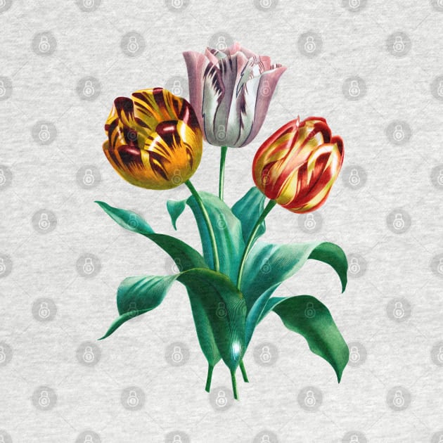 Colorful Vintage Watercolor Tulip Flowers Bouquet by CatyArte